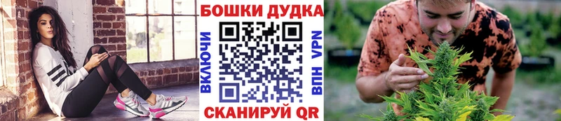 Канабис план  Купить закладки  Карачев 